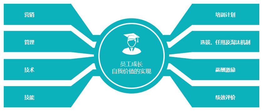 员工的职业发展